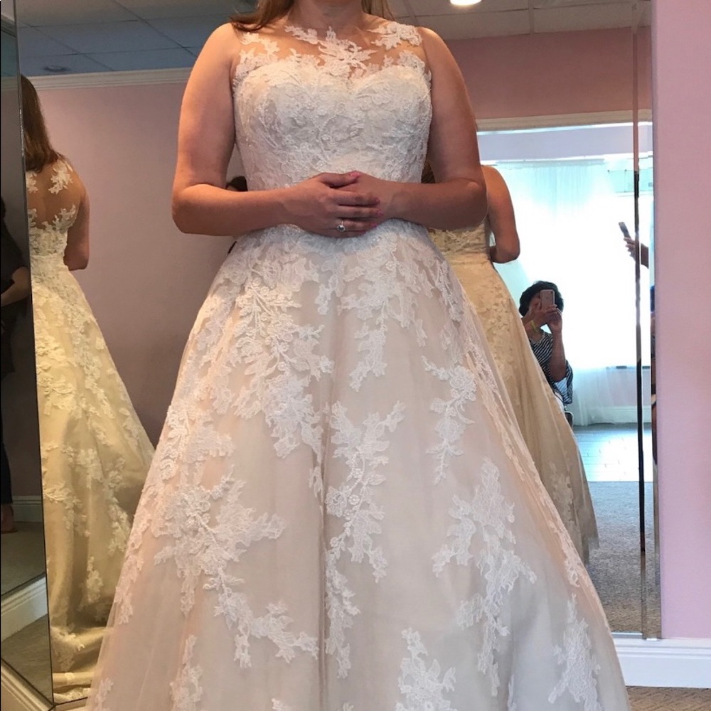 Pronovias Angelica Beige/white Wedding Gown. BRAND NEW WITH TAGS NEVER WORN.